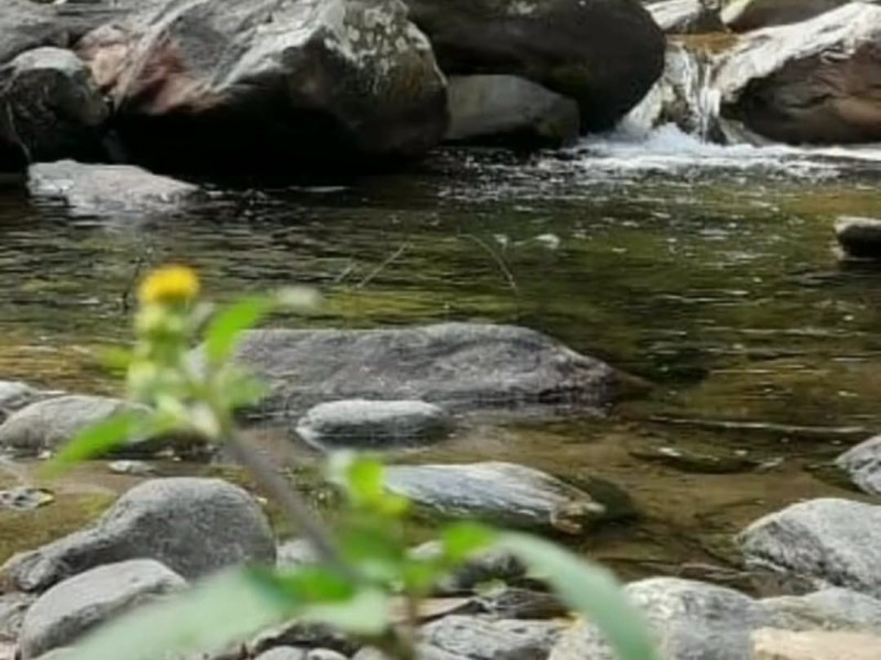 f58391f8-de39-4f35-9f27-86655ddc2f5b.jpeg