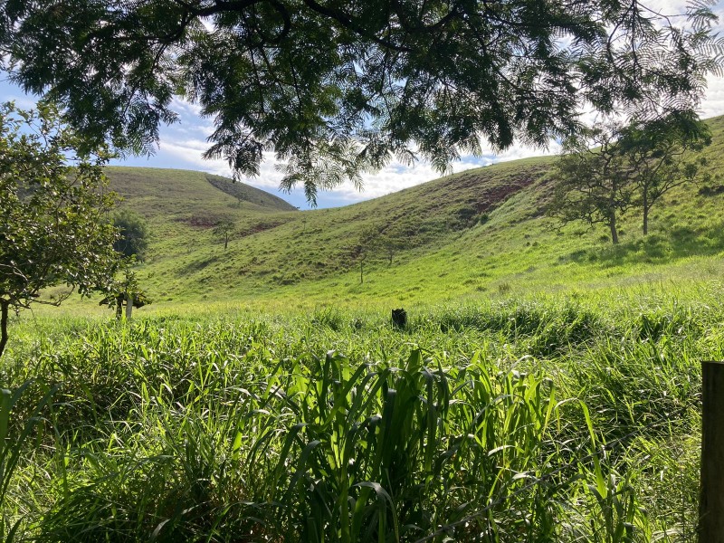 WhatsApp Image 2026-01-28 at 09.40.27 (4).jpeg