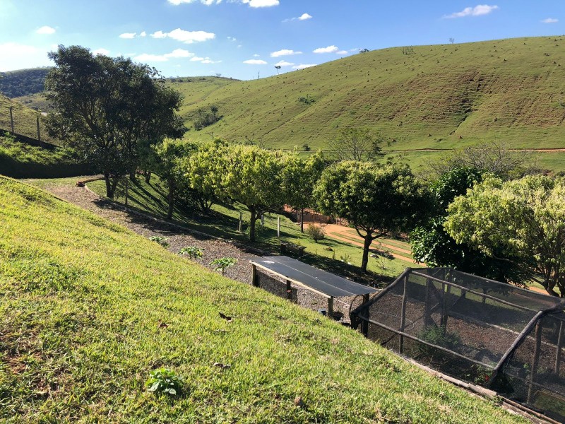 WhatsApp Image 2026-02-25 at 08.49.40 (3).jpeg